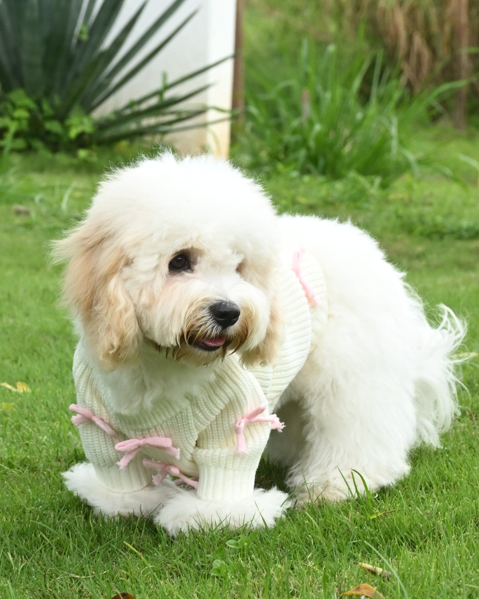 Pink Bow-3D Motif Pet Sweater - Image 5