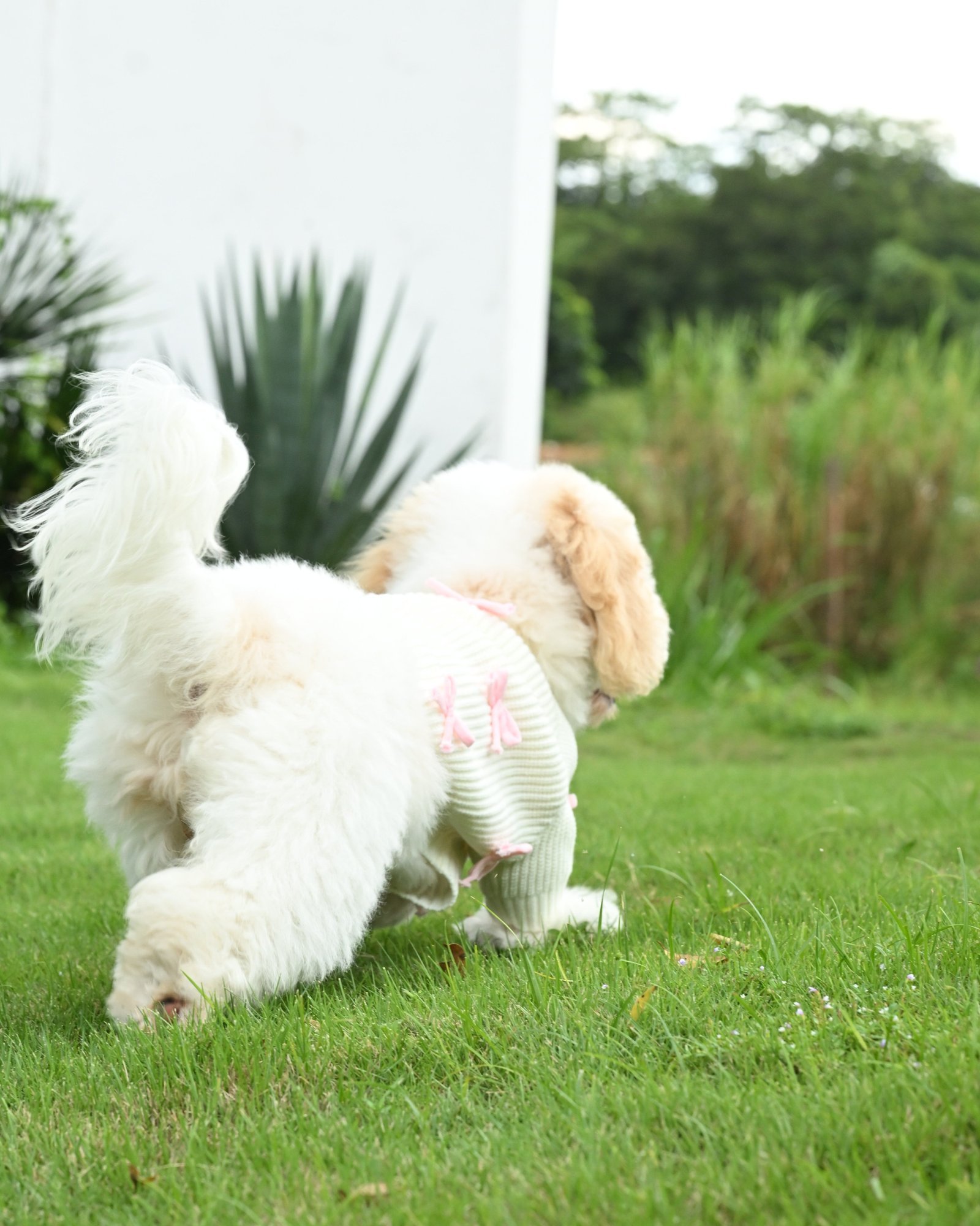 Pink Bow-3D Motif Pet Sweater - Image 8