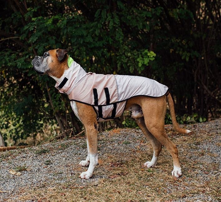 Oatmeal | Packable Raincoat - Image 4