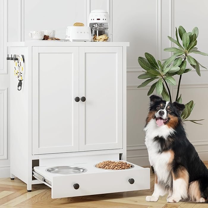 Dog Feeding Station