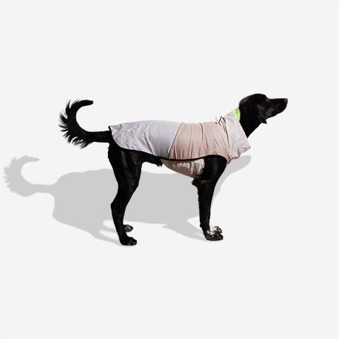 Oatmeal | Packable Raincoat - Image 8